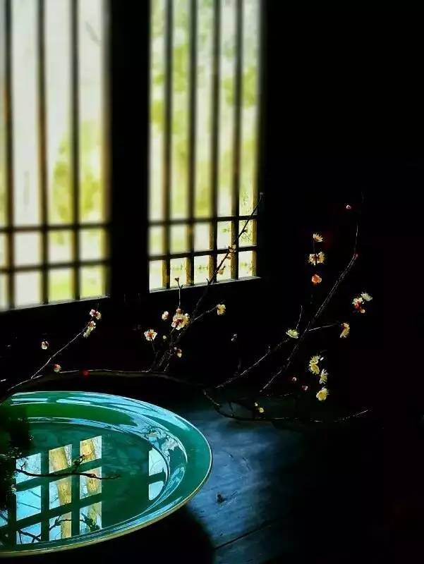 原来用手机就能拍出这么美的照片,手机拍出来最美的照片