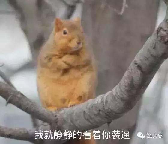 “渔乐趣事”我那幼儿园的侄子拿尼龙绳都爆护了，原因我今天算是知道了！