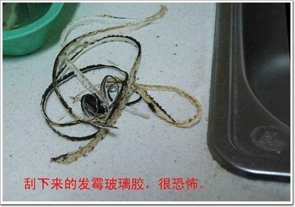 厨房洗菜池密封胶发霉,洗碗池密封胶发黑怎么清洗小妙招