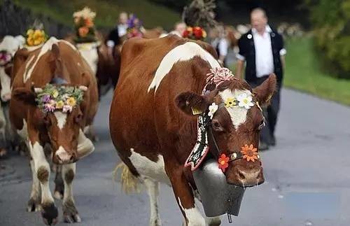 瑞士物价高到什么程度,瑞士物价高到什么水平