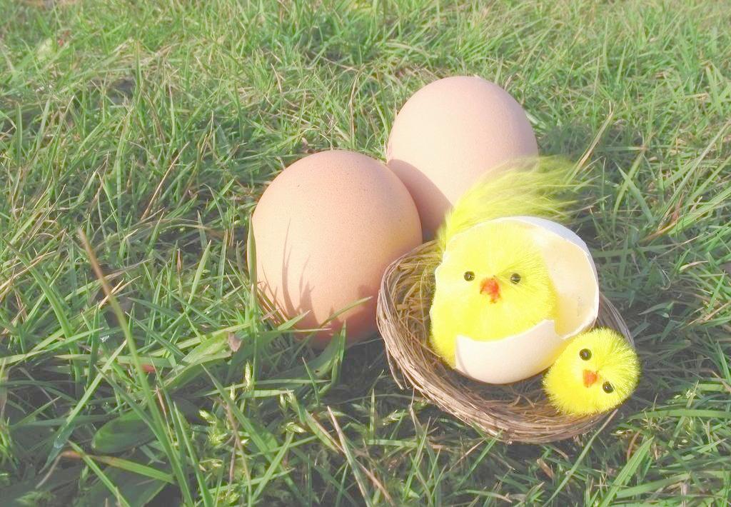 宁波的朋友打呼噜视频,失眠睡不着觉的朋友们看过来