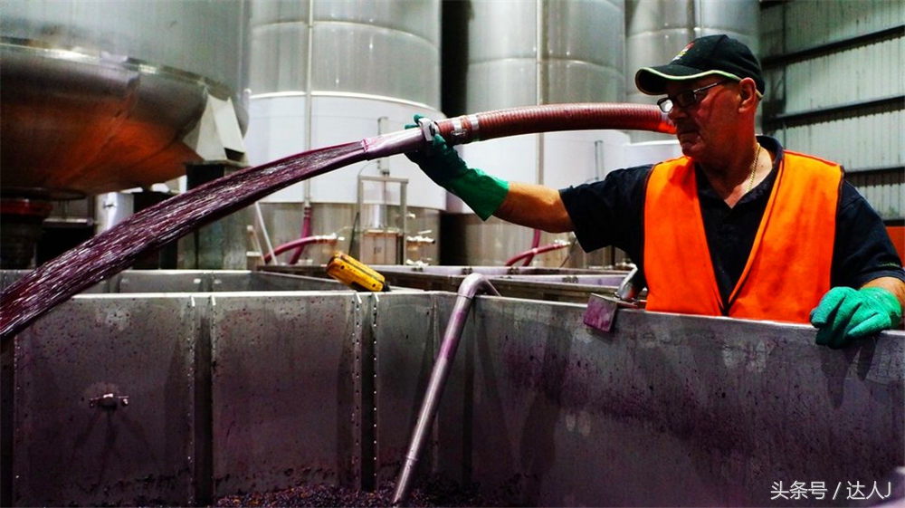 澳洲阿德莱德vs悉尼fc,阿德莱德对澳洲悉尼