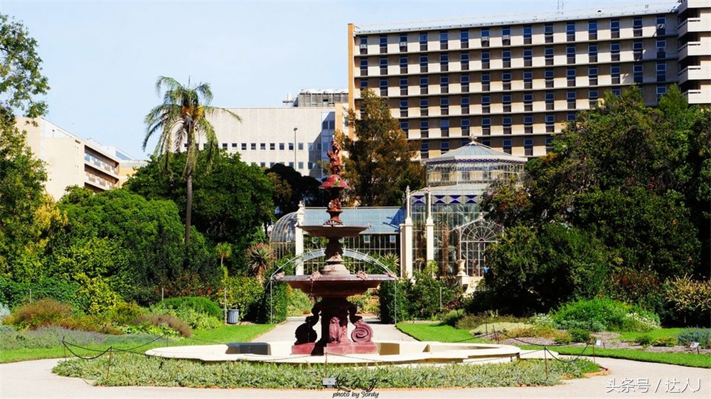 澳洲阿德莱德vs悉尼fc,阿德莱德对澳洲悉尼