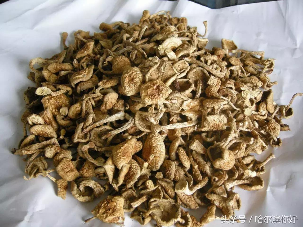 哈尔滨尚志要开挂了！如果三年后你还在尚志，将面对的竟是这些