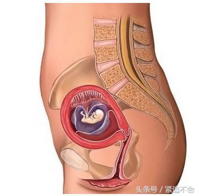 超萌龙凤胎宝宝图片,孕1到9周胎儿发育全过程