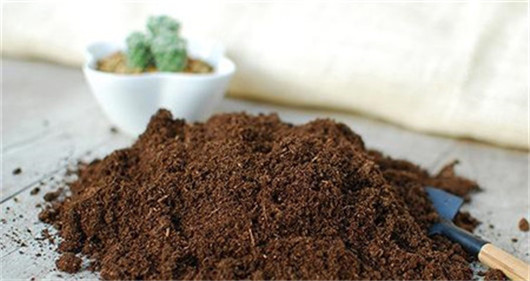 全营养土种的花容易死,养花的营养土可以直接种花吗
