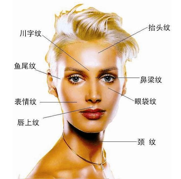 脸上的皱纹用什么办法去皱效果好,脸上皱纹比较多用什么祛皱最好