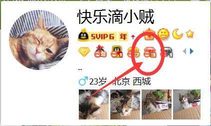 qq单向好友测试,腾讯qq测试版功能