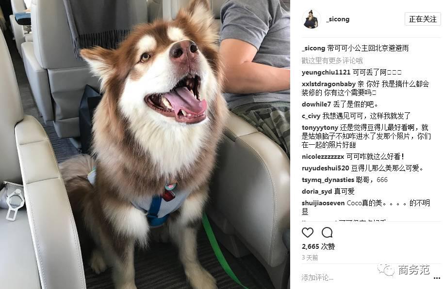 王思聪送王可可视频,王可可怎么遇到王思聪的