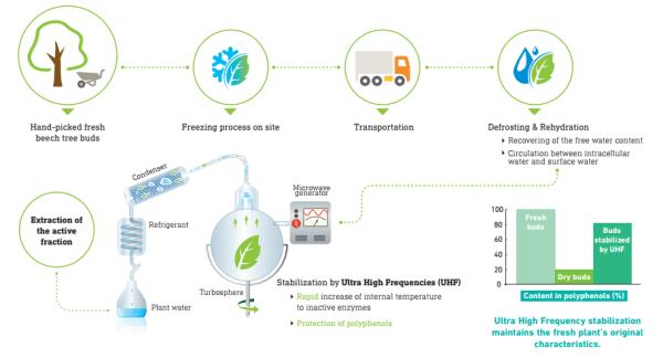 小绿瓶赫莲娜有什么功效 (赫莲娜小绿瓶有几个版本)