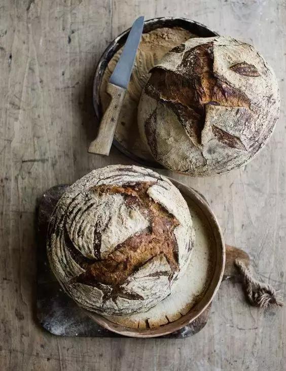 面包的酵种知识,面包的人生哲理