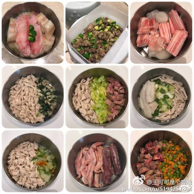 狗界奢侈品,金毛王可可