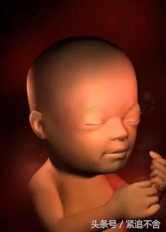 超萌龙凤胎宝宝图片,孕1到9周胎儿发育全过程