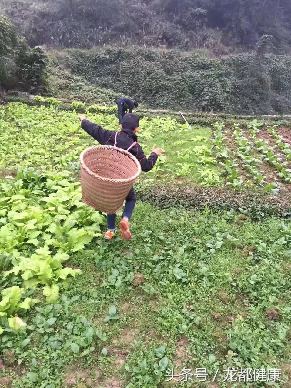 重庆樵坪山,重庆樵坪山古寨