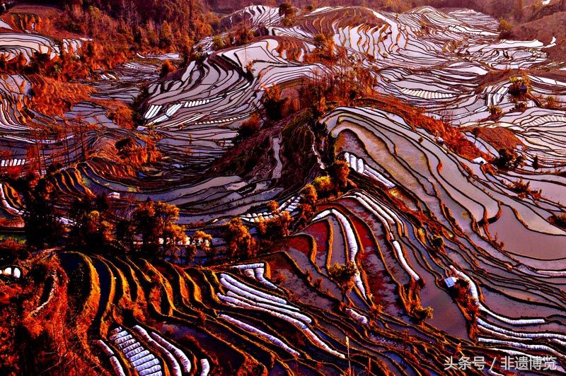 中国人雕刻,大地雕刻元阳梯田