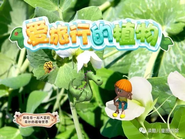 神奇的植物种子传播方法,我还知道哪些植物靠旅行传播种子
