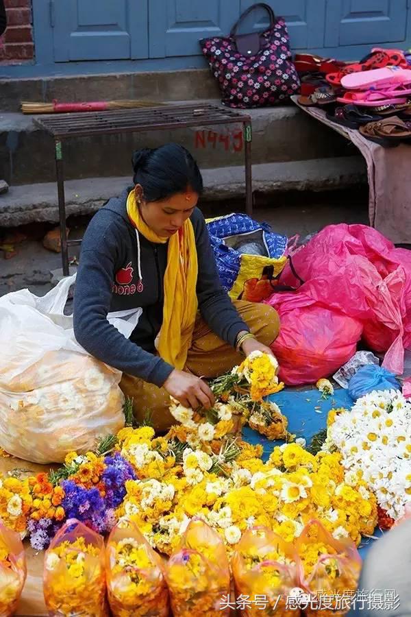 尼泊尔国歌唯一百花盛开的国度,尼泊尔百花图片