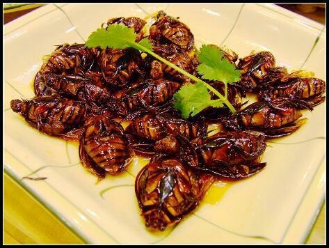 农村臭大姐的臭味有毒吗,农村的臭大姐怎样赶走