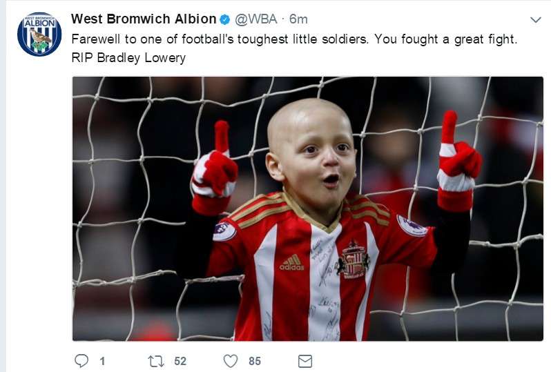 小布拉德利视频,小布拉德利