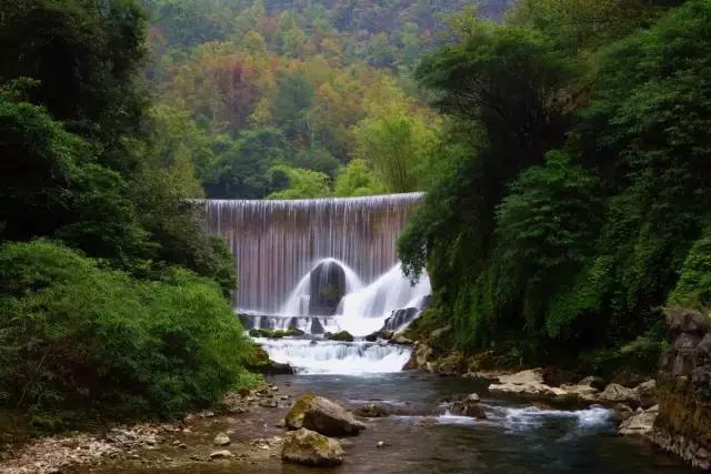 四川普罗旺斯视频,成都普罗旺斯在哪里