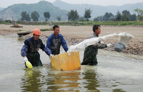 为什么有人养殖小龙虾年入几十万，有人却在倒亏钱？大家一定要注意养殖小龙虾的几个关键点！