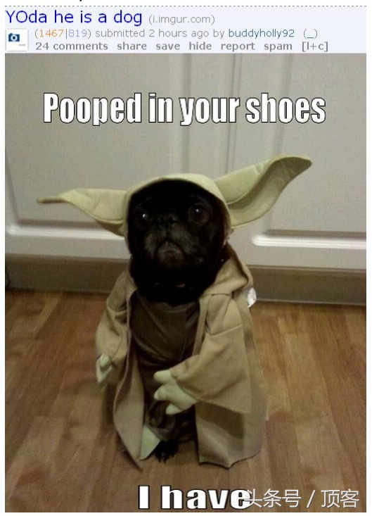 超好用的五款软件值得收藏,手机实用的10款软件推荐