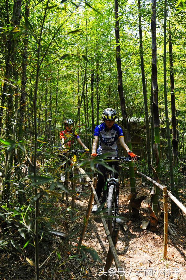 云南玉溪峨山彝人谷万亩竹海竹炭,彝人谷竹海攻略