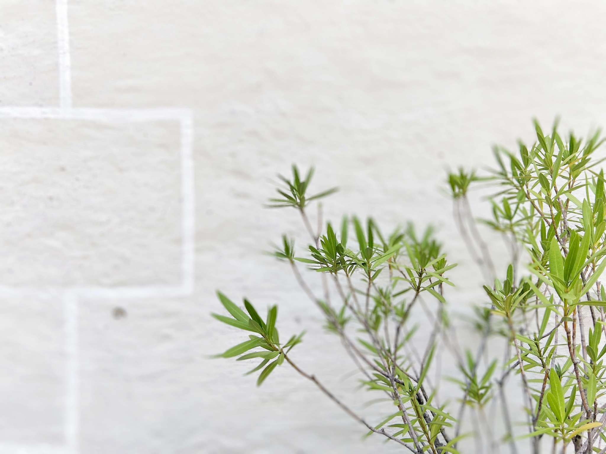 旅游风景手机怎么拍出高级感,旅游产品如何打造爆品