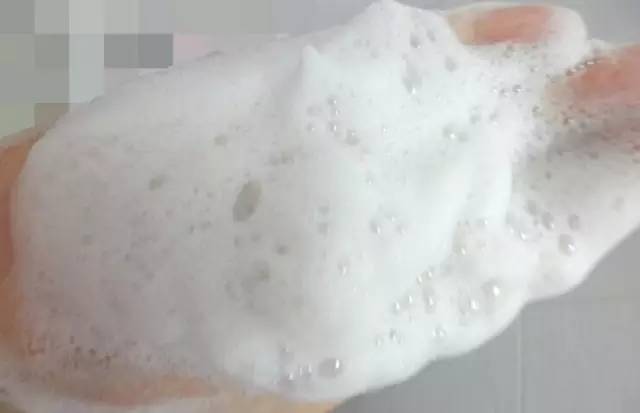 网传神奇生物,网传神奇测试图