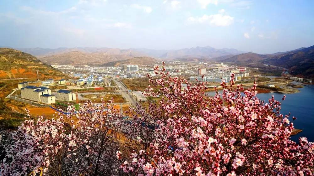 宁夏帅哥排行榜,宁夏十大帅哥网红