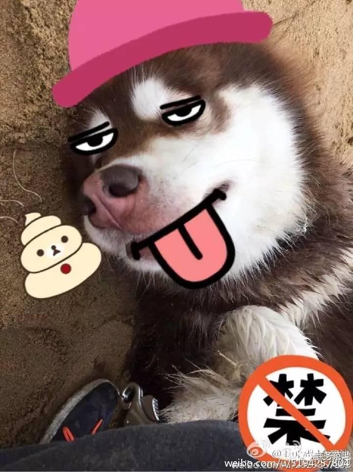 王思聪送王可可视频,王可可怎么遇到王思聪的