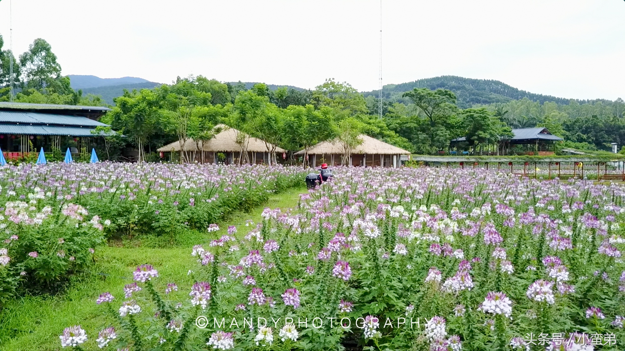 广州周边不为人知的宝藏景点,广州水上乐园旅游景点推荐