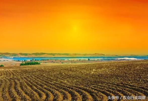 养殖业和种植业什么前景最好,未来的机会都在种植业和养殖业