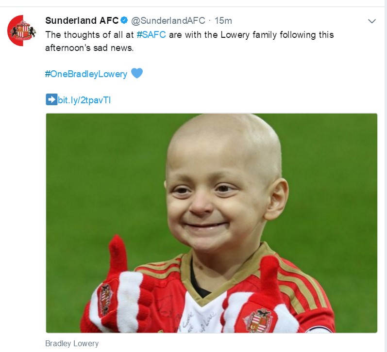 小布拉德利视频,小布拉德利