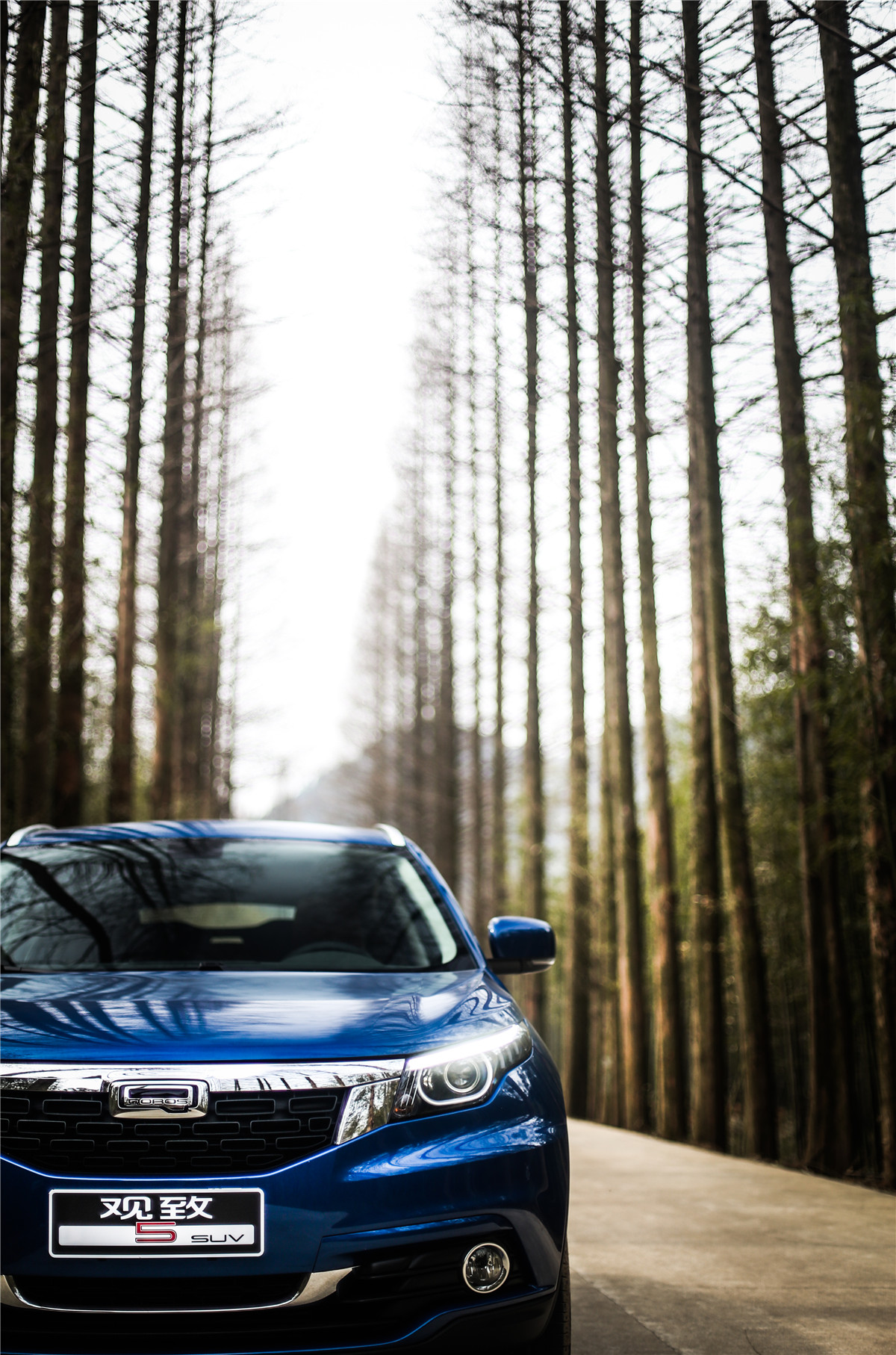 观致5实力有多强,观致5为什么那么好卖