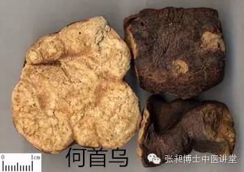 乌根片能让白发变黑发吗,修正白发变黑发是真的吗