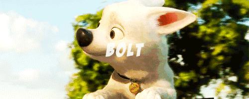 盘点各个国家的疯狂动物城,盘点疯狂动物城隐藏细节