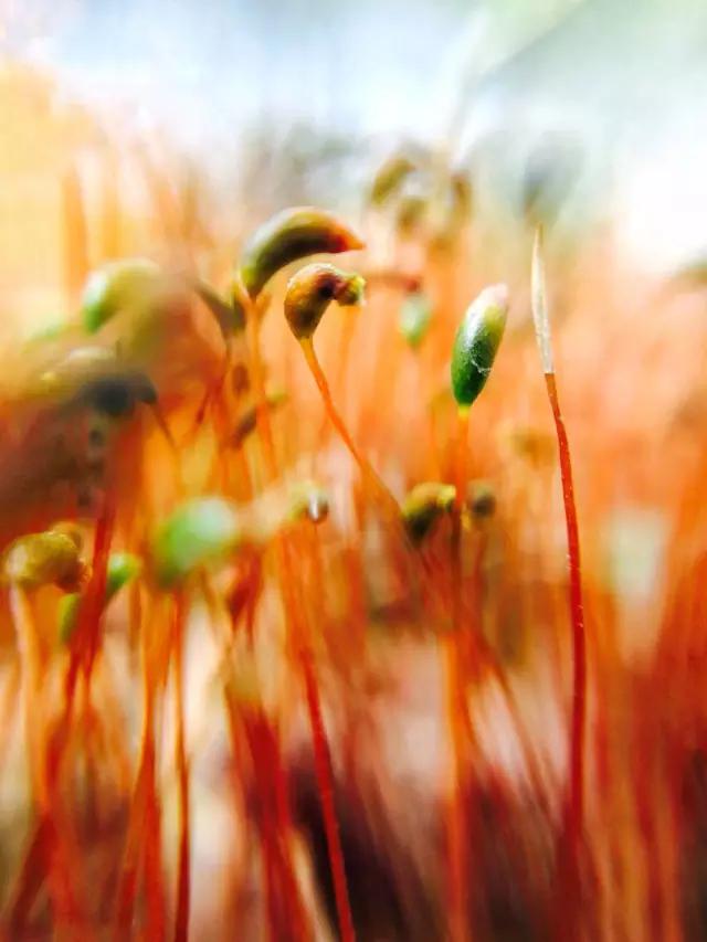 CMPA|2016年3月7日编辑推荐作品