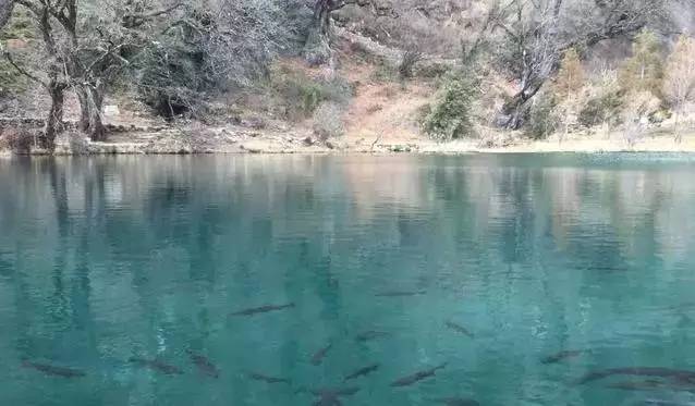 云南低价旅游团玩猫腻,掌上乌鲁木齐