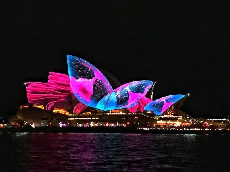 当一只“反季候鸟“，直飞到悉尼过冬天买UGG，是成都人今年暑假新玩法！