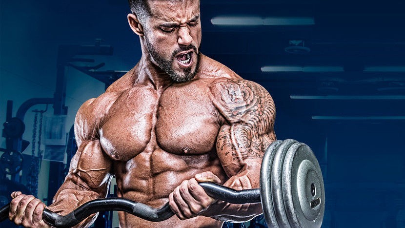 5x5能不能加入增肌训练,stronglifts的5x5训练法适合新手吗