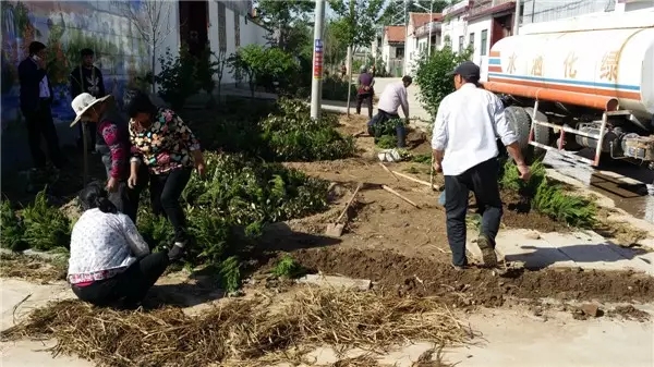 触“电”，一个国家级贫困村的两年之变