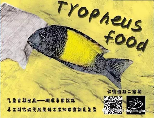 莫斯水草黑褐色,粉色莫丝水草