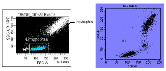 你这磨人的小妖精视频,你这磨人的小妖精下一句是什么呢