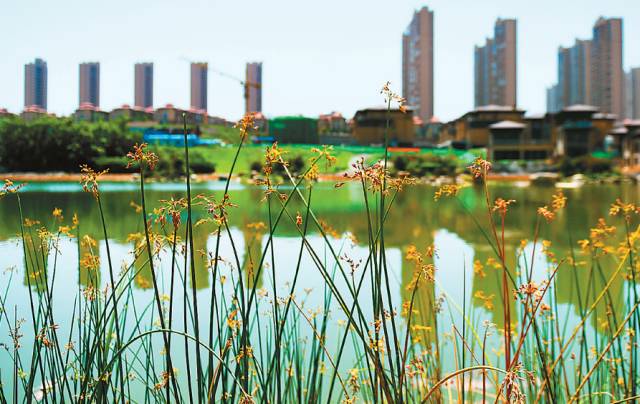 关于浐灞的历史介绍,西安浐灞发展历史