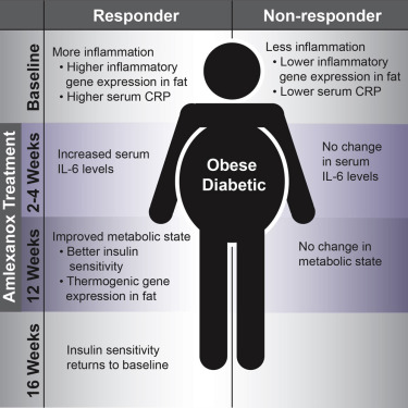 惊喜！Cell子刊：“30岁”的哮喘药或成糖尿病新疗法