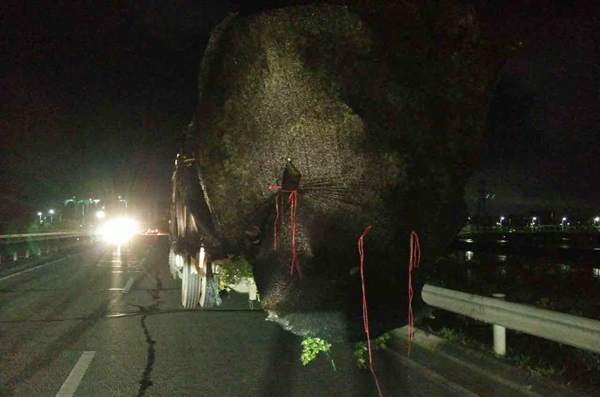 老司机被吊销驾照再重考好考不,老司机酒驾吊销驾照重考