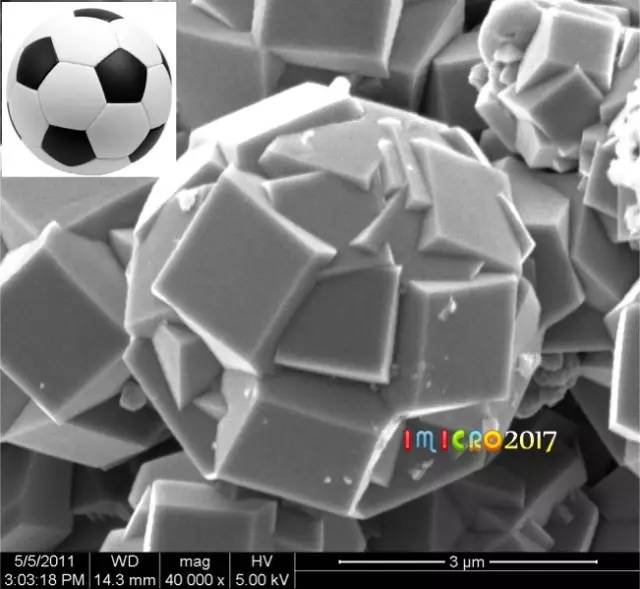 显微镜奇妙世界,显微镜下的奇妙世界视频