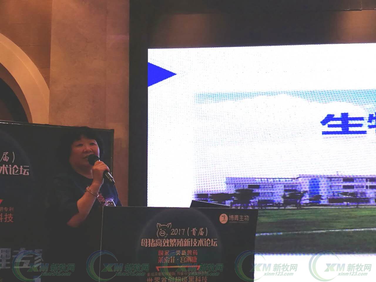 母猪产后消炎用头孢加林可霉素,母猪产后青链霉素