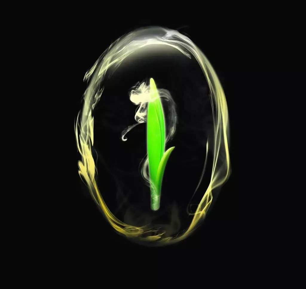 茶叶是个宝喝得好胜过冬虫夏草,茶叶也是好东西